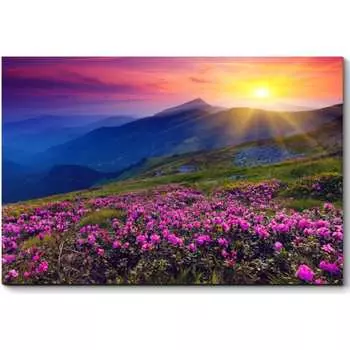 Картина Picsis 3102-9975031