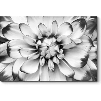 Картина Picsis 2398-9895965