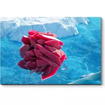 Картина Picsis 6615-13441469