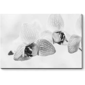 Картина Picsis 2587-10498917