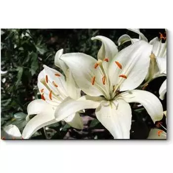 Картина Picsis 2842-10304802