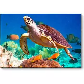 Картина Picsis 4940-10759273