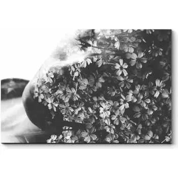 Картина Picsis 3847-13045577