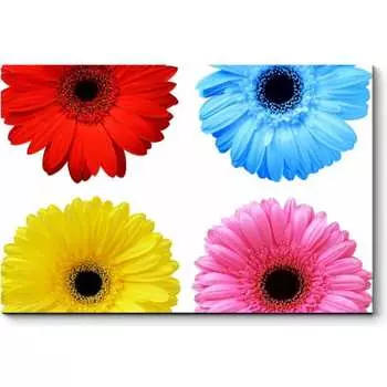 Картина Picsis 5947-13186320