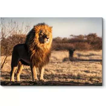 Картина Picsis 829-9809596