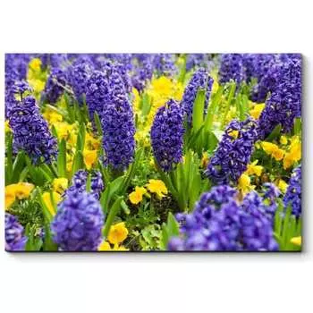 Картина Picsis 656-9927796