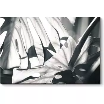 Картина Picsis 2540-10479990