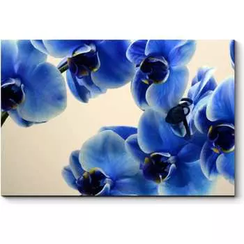 Картина Picsis 1902-10616189