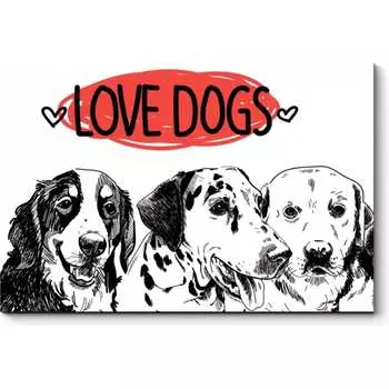 Картина Picsis 4843-10735396