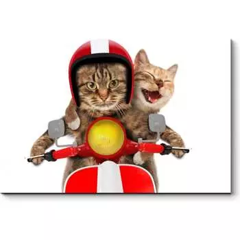 Картина Picsis 3635-12943429