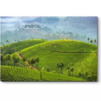 Картина Picsis 3464-9956783