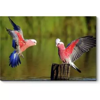 Картина Picsis 1401-10433649