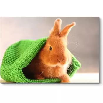 Картина Picsis 1167-10051844