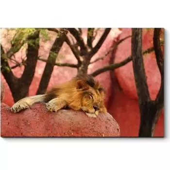 Картина Picsis 4759-10920232