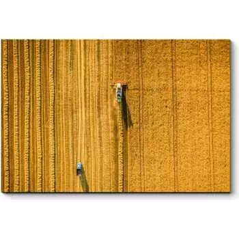 Картина Picsis 3473-9959317