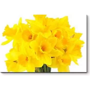 Картина Picsis 5977-13166646