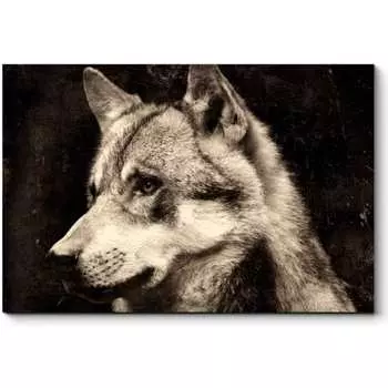 Картина Picsis 3734-9844538