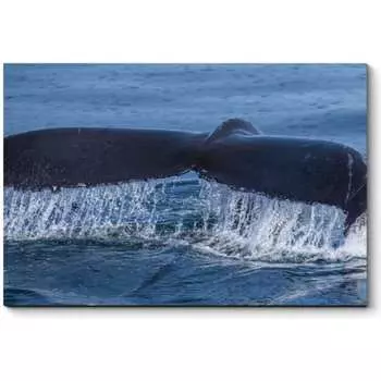 Картина Picsis 939-10460477