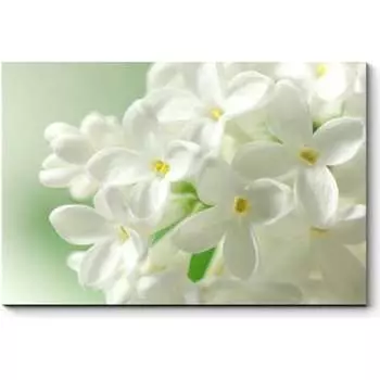 Картина Picsis 2836-9992531