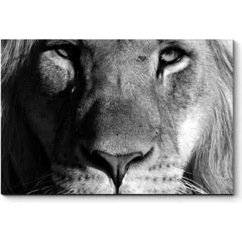 Картина Picsis 4959-12750901