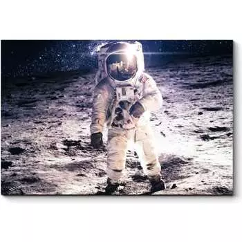 Картина Picsis 2731-12062707