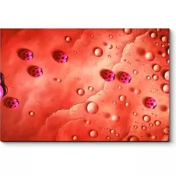 Картина Picsis 1393-10431492