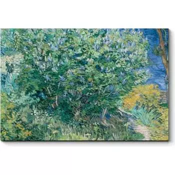 Картина Picsis 5618-11004072