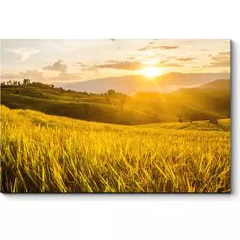 Картина Picsis 3448-9953085