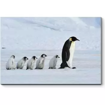 Картина Picsis 2186-10058999