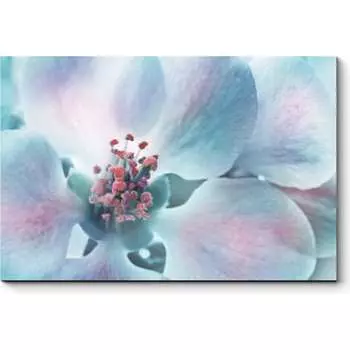 Картина Picsis 2418-11675555