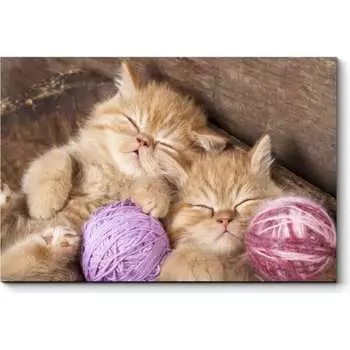 Картина Picsis 3646-10068530