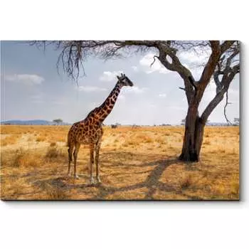 Картина Picsis 4982-10937230