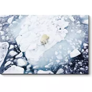 Картина Picsis 4780-10492176