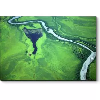 Картина Picsis 4609-10904540