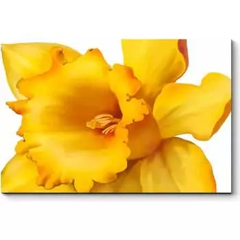 Картина Picsis 5978-13166391