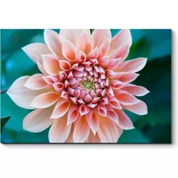 Картина Picsis 4562-10031555