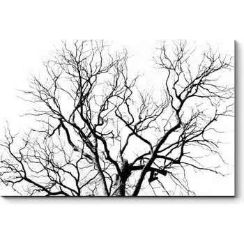 Картина Picsis 2605-10504299