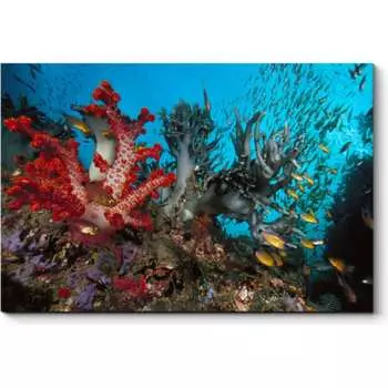 Картина Picsis 1319-9869218