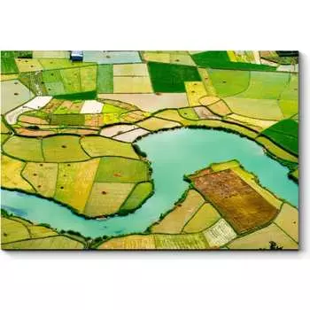 Картина Picsis 3104-10354308