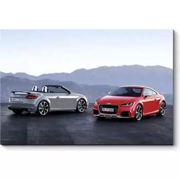 Картина Picsis 4874-10923163