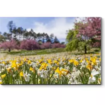 Картина Picsis 657-9928121