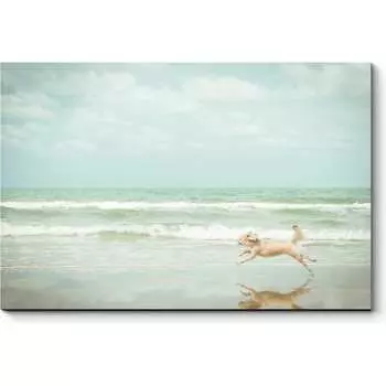 Картина Picsis 3668-10083582