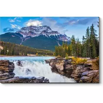 Картина Picsis 4261-10171032