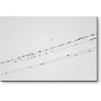 Картина Picsis 2460-10188706