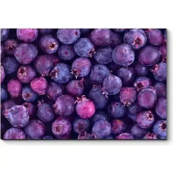 Картина Picsis 1084-11052751