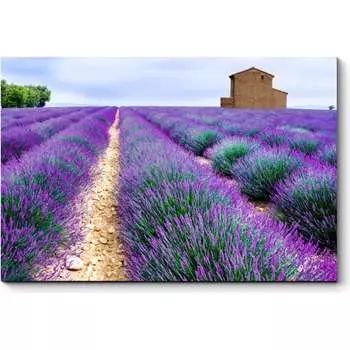 Картина Picsis 3471-9959051