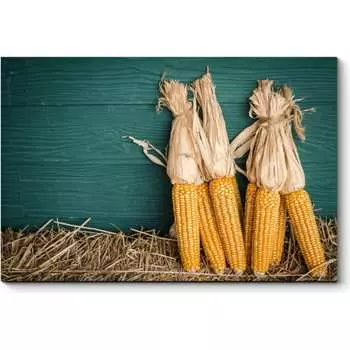 Картина Picsis 1066-11076794