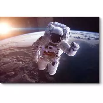 Картина Picsis 6043-13128438