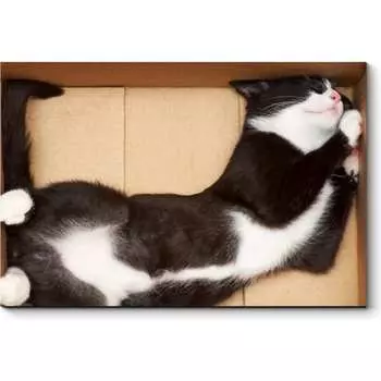 Картина Picsis 3648-10068948