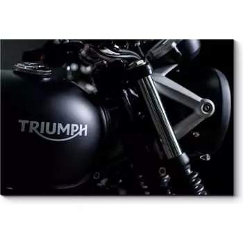 Картина Picsis 2109-10657807